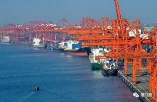 廈潮合建碼頭雛形初現，助力區域協同發展計劃明年上半年投用