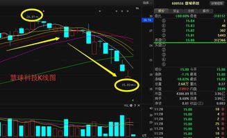 慧球科技600556大跌停牌真實原因及復(fù)盤后走勢分析